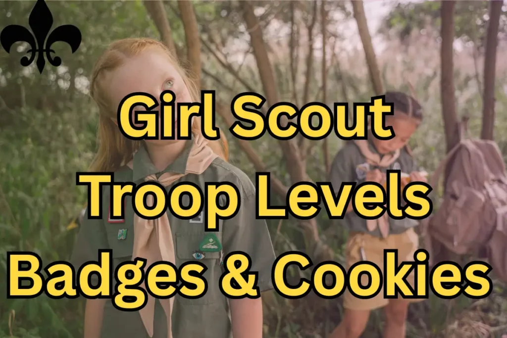 Girl Scout Troop Levels, Badges & Cookies 2 Girl Scout